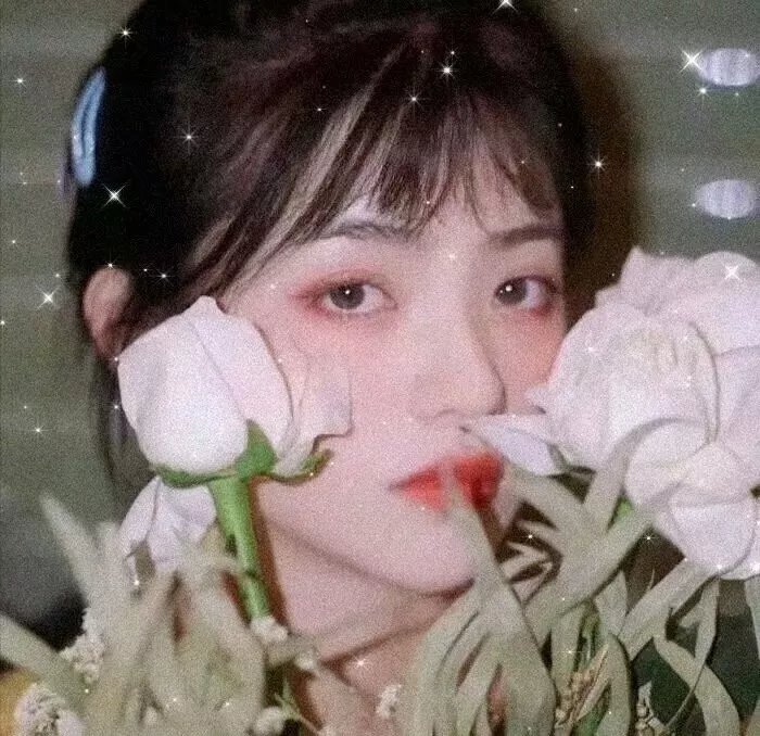 星星的轨道